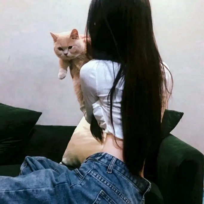 顽皮豹之星